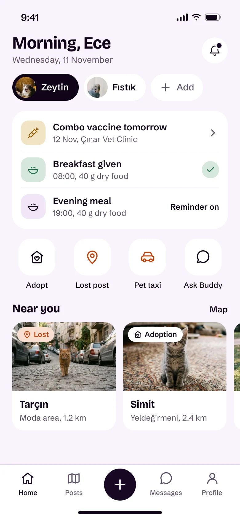 Patibuddy home screen: Zeytin's day, tomorrow's vaccine, meals given and posts nearby