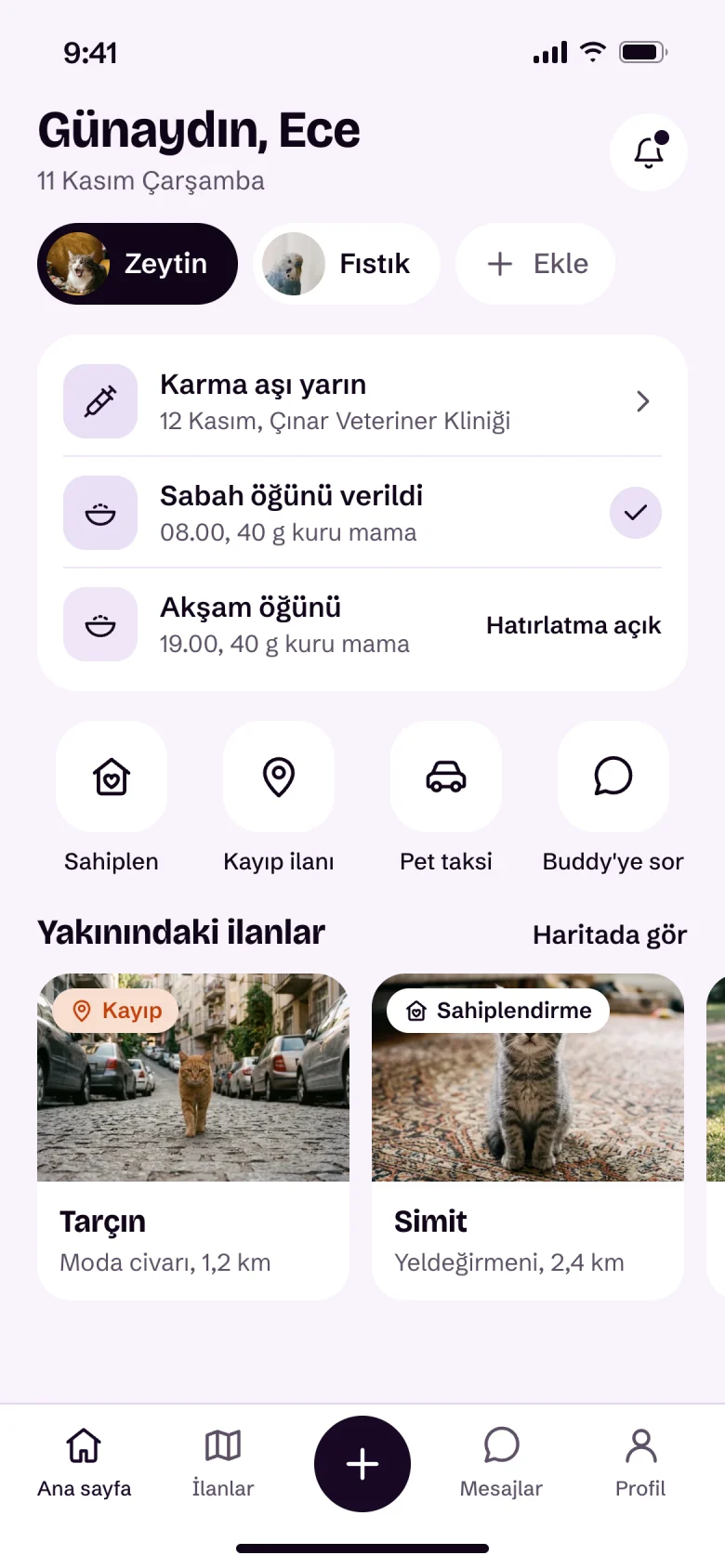 Patibuddy ana ekranı: Zeytin'in günü, yarınki karma aşı, verilen öğünler ve yakındaki ilanlar