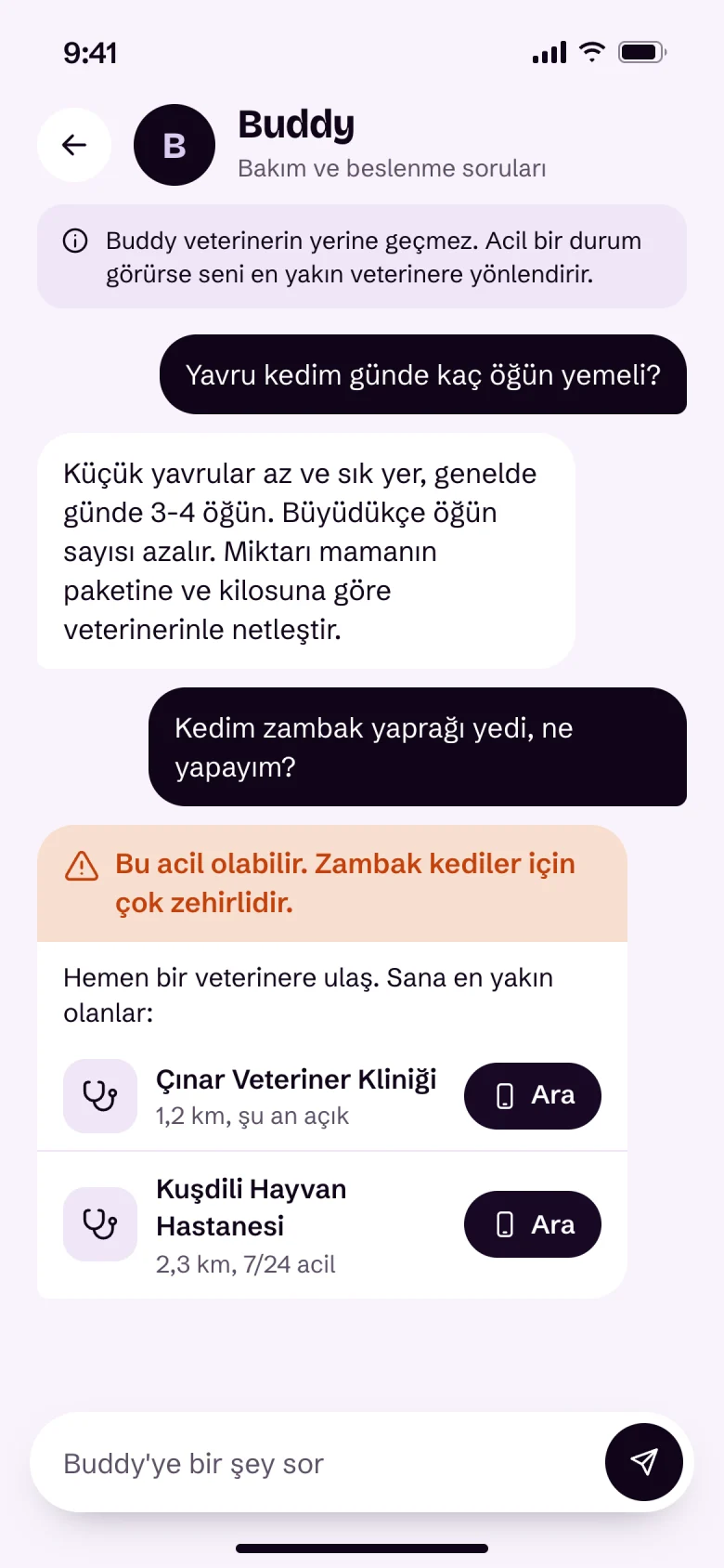Buddy sohbeti: “Kedim zambak yaprağı yedi, ne yapayım?” sorusuna “Bu acil olabilir” uyarısı ve en yakın veterinerler.