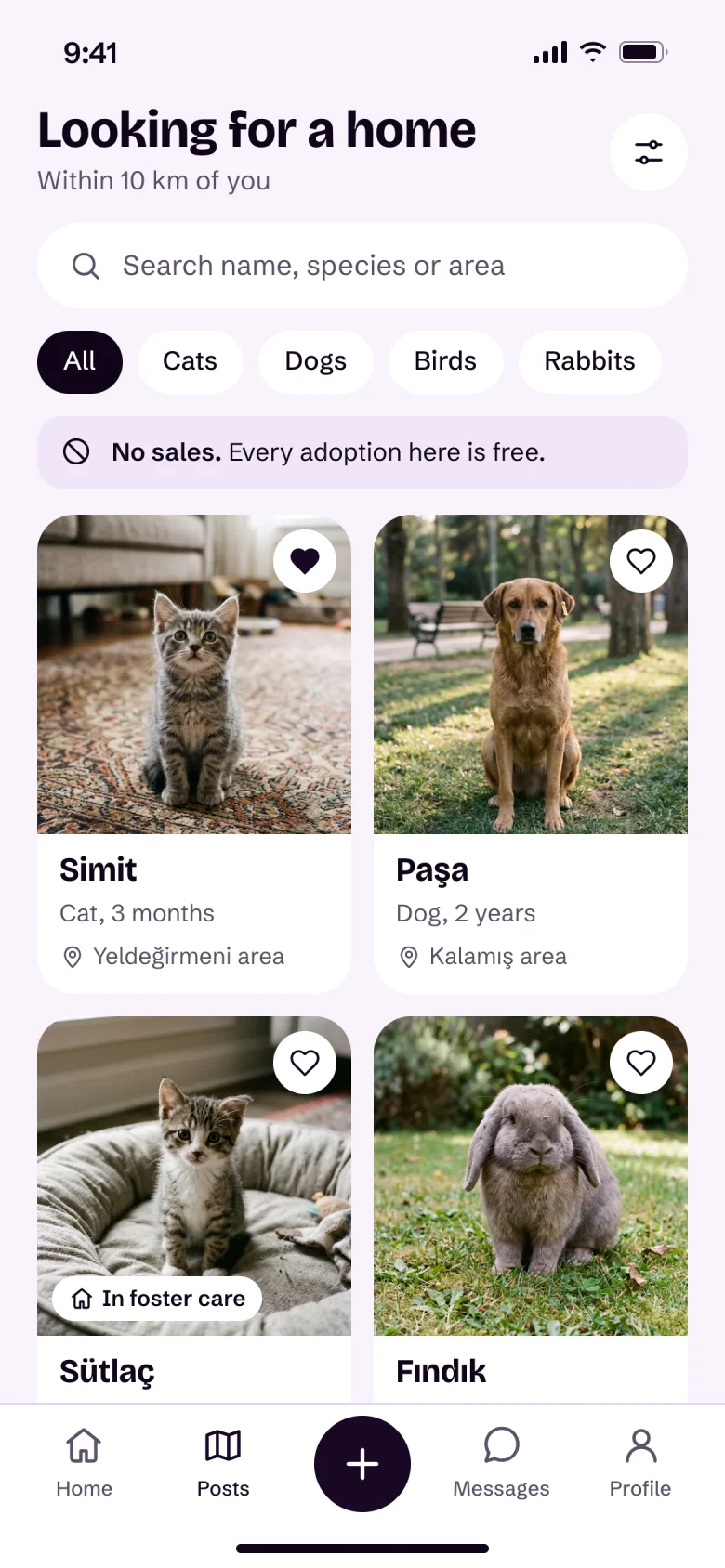 Looking for a home: Simit, Paşa, Sütlaç and Fındık. No sales, every adoption here is free.